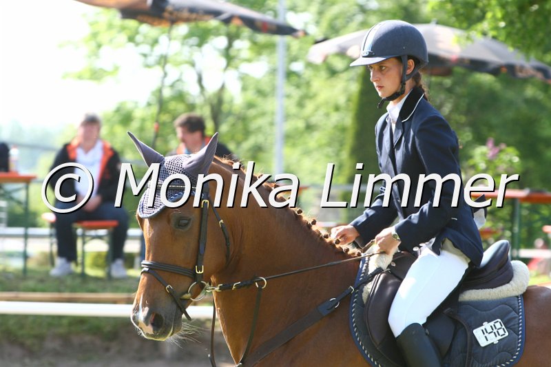 204M2978_Gracy Girl_Stil_A.JPG